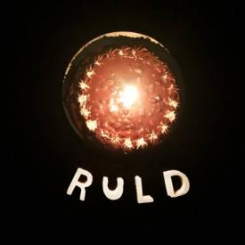 RULD'у исполнился 1 год